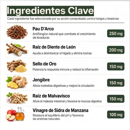 Fórmula Veterinaria Natural para Eliminar Hongos en Perros