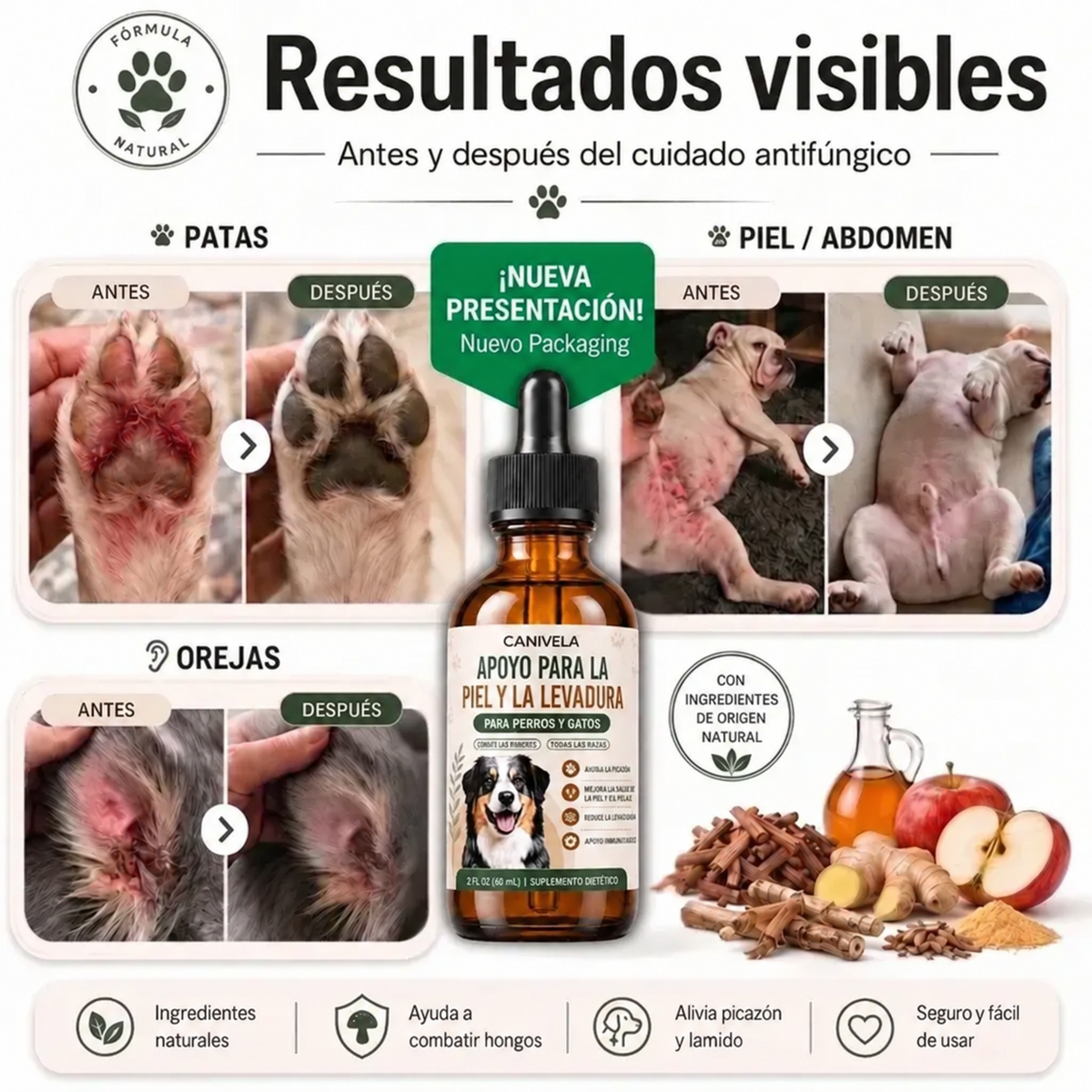 Fórmula Veterinaria Natural para Eliminar Hongos en Perros