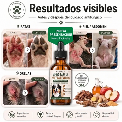 Fórmula Veterinaria Natural para Eliminar Hongos en Perros