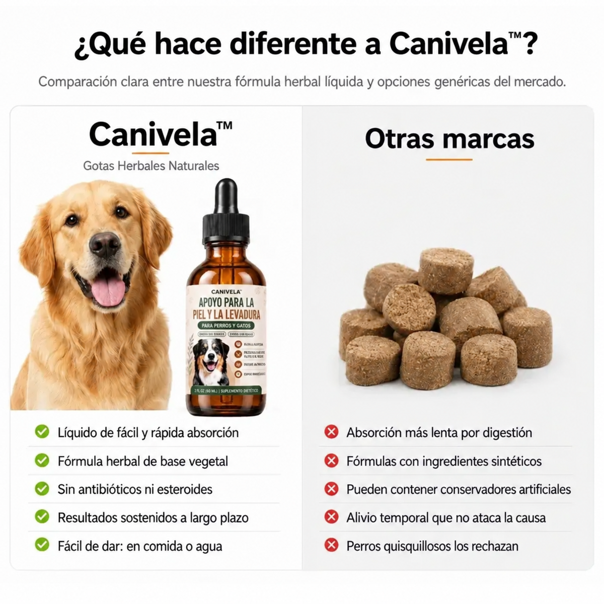 Fórmula Veterinaria Natural para Eliminar Hongos en Perros