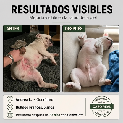 Fórmula Veterinaria Natural para Eliminar Hongos en Perros