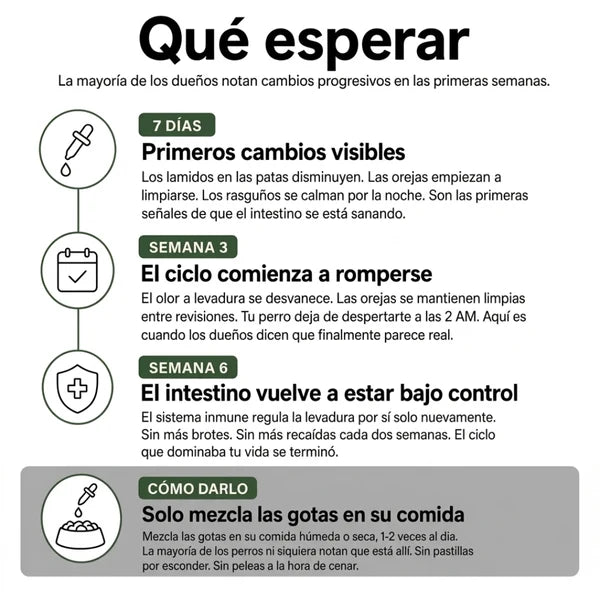 Fórmula Veterinaria Natural para Eliminar Hongos en Perros